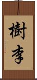 樹李 Scroll