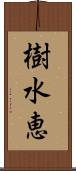 樹水恵 Scroll