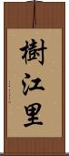 樹江里 Scroll