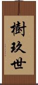 樹玖世 Scroll