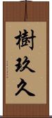 樹玖久 Scroll