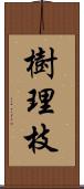 樹理枝 Scroll