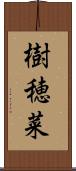 樹穂菜 Scroll