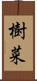 樹菜 Scroll