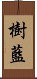 樹藍 Scroll