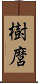 樹麿 Scroll