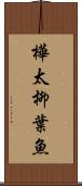 樺太柳葉魚 Scroll