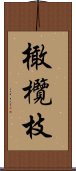 橄欖枝 Scroll