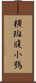 橫斑腹小鴞 Scroll