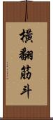 橫翻筋斗 Scroll