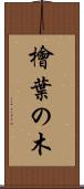 檜葉の木 Scroll