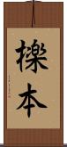 檪本 Scroll