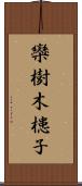 欒樹 Scroll