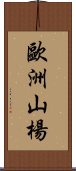 歐洲山楊 Scroll