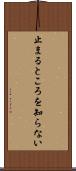 止まるところを知らない Scroll
