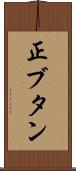 正ブタン Scroll