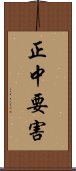正中要害 Scroll