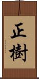 正樹 Scroll