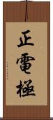 正電極 Scroll