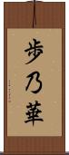 歩乃華 Scroll
