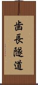歯長隧道 Scroll