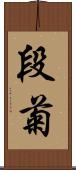 段菊 Scroll