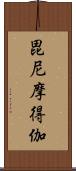毘尼摩得伽 Scroll