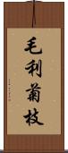 毛利菊枝 Scroll