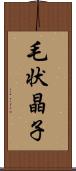 毛状晶子 Scroll