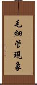 毛細管現象 Scroll