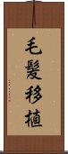 毛髪移植 Scroll