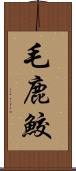 毛鹿鮫 Scroll