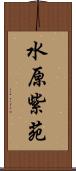 水原紫苑 Scroll