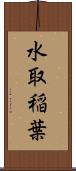 水取稲葉 Scroll