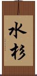 水杉 Scroll