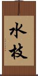 水枝 Scroll