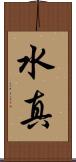 水真 Scroll