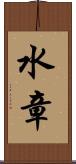 水章 Scroll