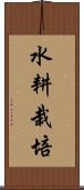 水耕栽培 Scroll