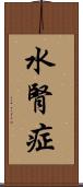 水腎症 Scroll