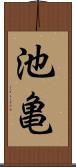池亀 Scroll