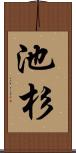 池杉 Scroll