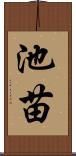 池苗 Scroll