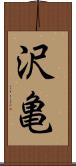 沢亀 Scroll