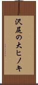 沢尻の大ヒノキ Scroll