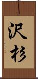 沢杉 Scroll