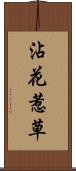 沾花惹草 Scroll