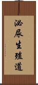 泌尿生殖道 Scroll