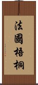 法國梧桐 Scroll