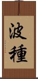 波種 Scroll